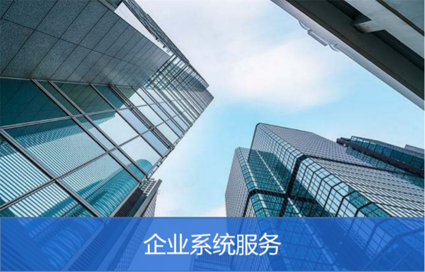 企业系统服务